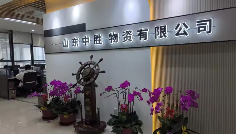 China Shandong Zhongsheng Materials Co., Ltd. Perfil da companhia