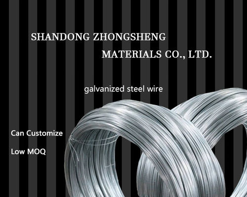 SAE1006 SAE1008 SAE1010 Fios de carbono Gi para fabricação de pregos Tolerância de fio de ferro galvanizado ± 1% Serviço de processamento Descolagem
